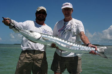 barracuda, baracuda, florida keys fishing guides, fly fishing in key west, tarpon, cudjoe, big pine key, summerland