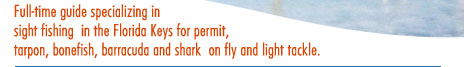 fishing guide specializing in sight fishing in the florida keys for permit, tarpon, bonefish, barracuda and shark on fly and light tackle