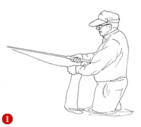 fly fishing in the florida keys & key west, flats fishing charters, fly fishing guide, big pine key, cudjoe key, summerland, lower florida keys