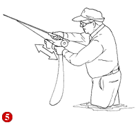 fly fishing in the florida keys & key west, flats fishing charters, fly fishing guide, big pine key, cudjoe key, summerland, lower florida keys